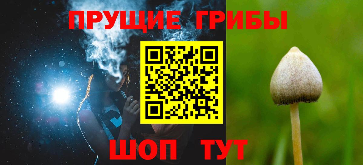 Псилоцибиновые грибы мицелий Абакан